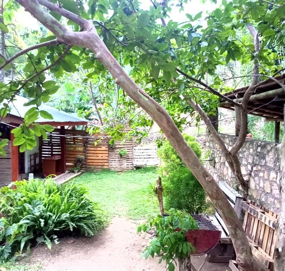 Ella Foret Accommodation Buitenkant foto